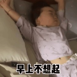 晚上不想睡早上不想起只要一睁眼先去摸手机表情包gif v1.0