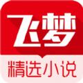 飞梦小说