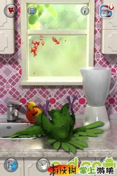 会说话的鹦鹉皮埃尔 Talking Pierre the Parrot v3.1 v2.5.5