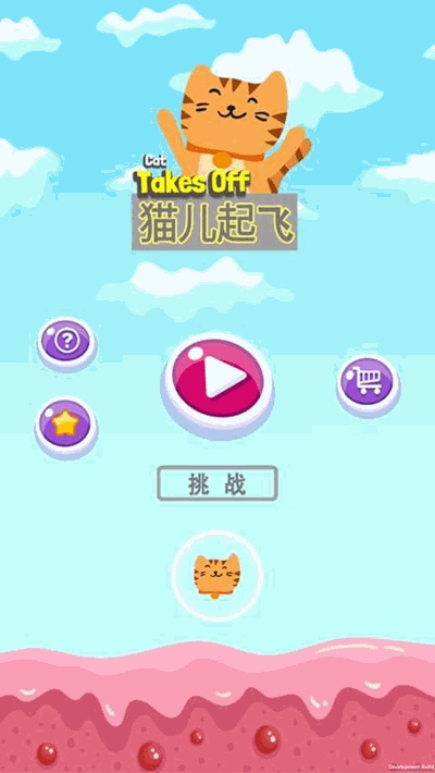 猫儿飞起