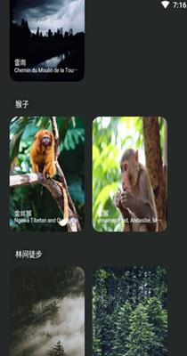 森林白噪音 v1.0.0