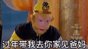 过年带我去你家见爸妈去了你家再去我家表情包 v1.0