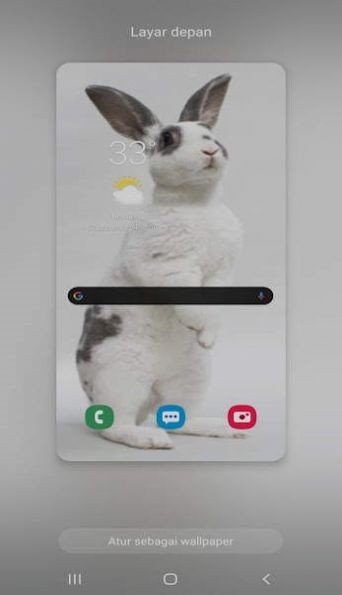 新兔子壁纸 v1.0