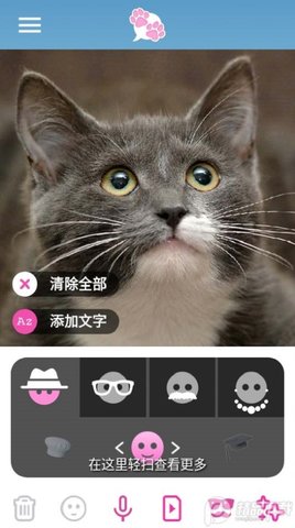 我的宠物会说话截图2