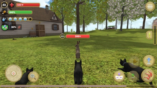 猫猫模拟器2020游戏