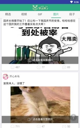 笑话养猪场 2019-12-11 11:47