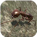 蚂蚁模拟安卓版