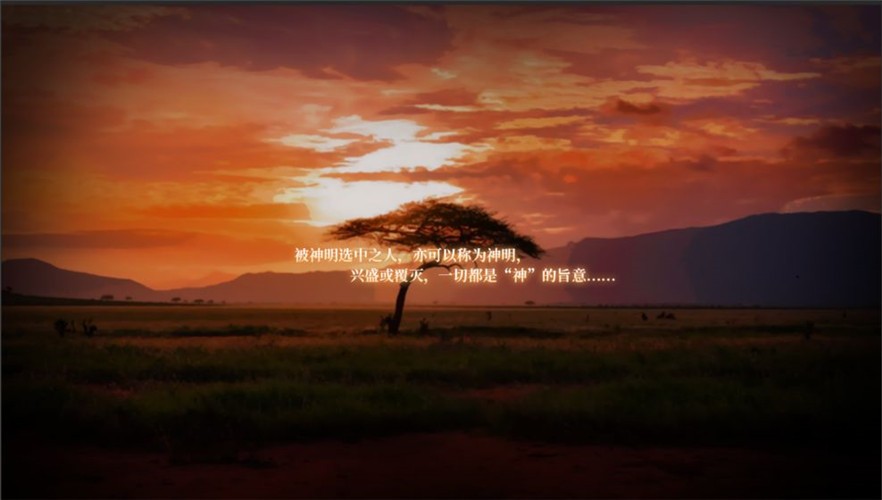 代号星辰 2024-06-25 15:08