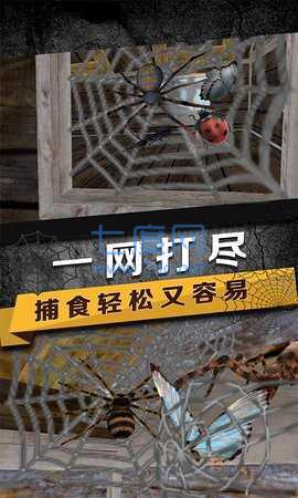 蜘蛛模拟生存 v1.0
