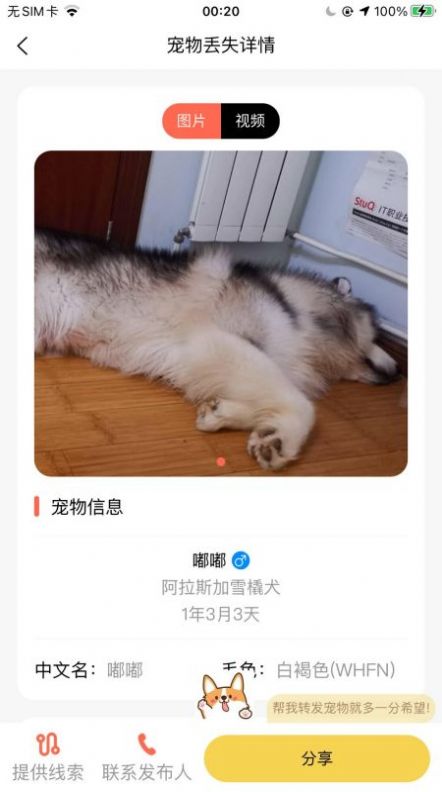 爱宠守护者 v1.0.2