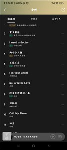 MIUI音乐播放器截图1