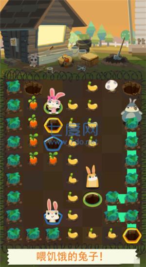 养兔冠军游戏