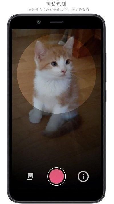 万物识别 v2.1.56.230324