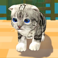 萌猫度假村