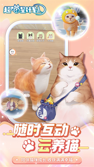 超喵星计划  v57287