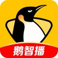 企鹅体育