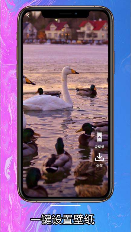 简单壁纸 v1.0.0