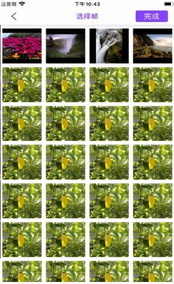 小紫GIF制作  V 1.0