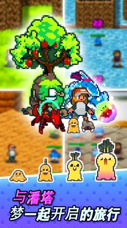 潘塔梦联赛  v25