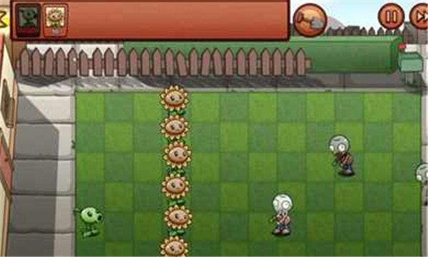 植物大战僵尸BW