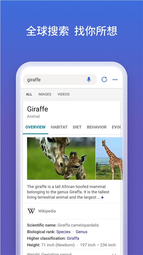 New Bing手机版 v24.1.410205315