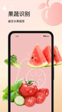 花卉识别大全 v1.0.0