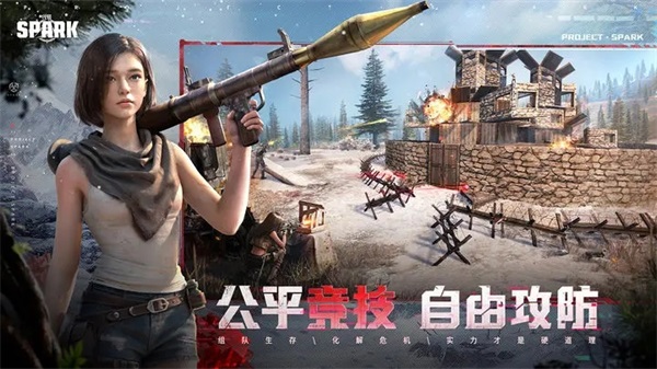 代号spark 先锋服 v3.0.5