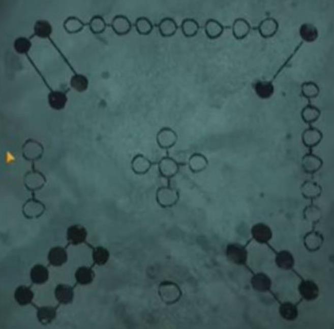 纸嫁衣4红丝缠官方正版