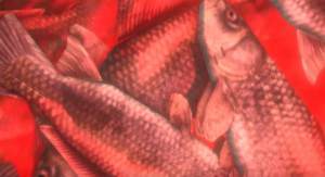 孙美琪疑案邓秋平 v1.0