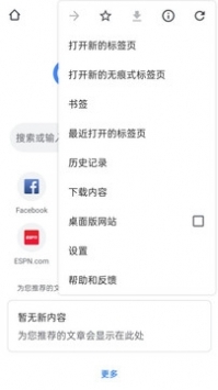 google浏览器 v2.0.5