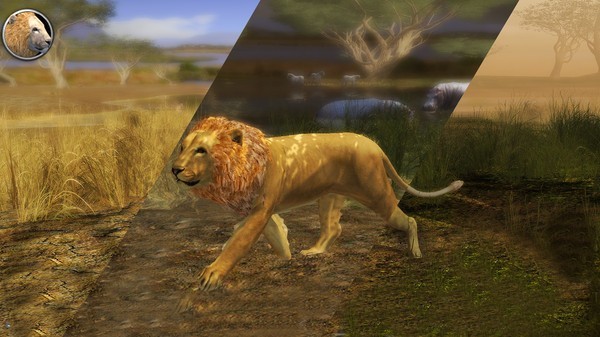 狮子模拟器2020  v1