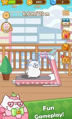 奔跑小猫游戏 v0.3.4