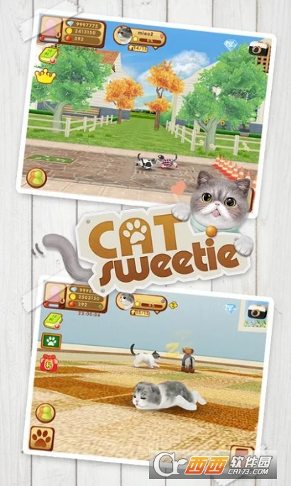 心动小猫 v1.36.2 安卓版