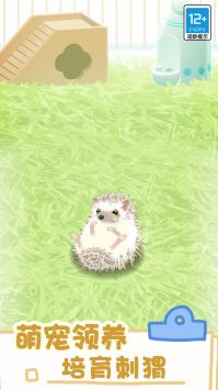 小小宠物截图1