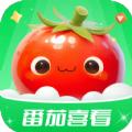 番茄喜看