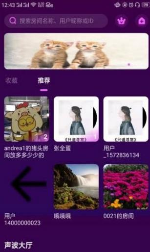 网易声波交友.png