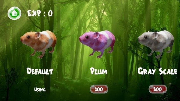 在洪水中拯救仓鼠