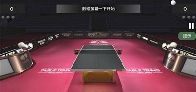 乒乓球世纪  v1.043