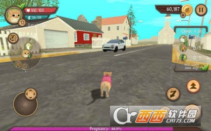 Cat Sim(吸猫游戏) v1.0 安卓版