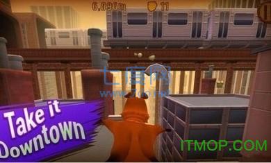 飞鼠吃坚果2中文版 v2