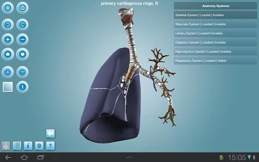 Anatomy 3D 版本:v1.47