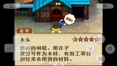 牧场物语之风之集市  v63.0