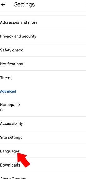 谷歌浏览器金丝雀版