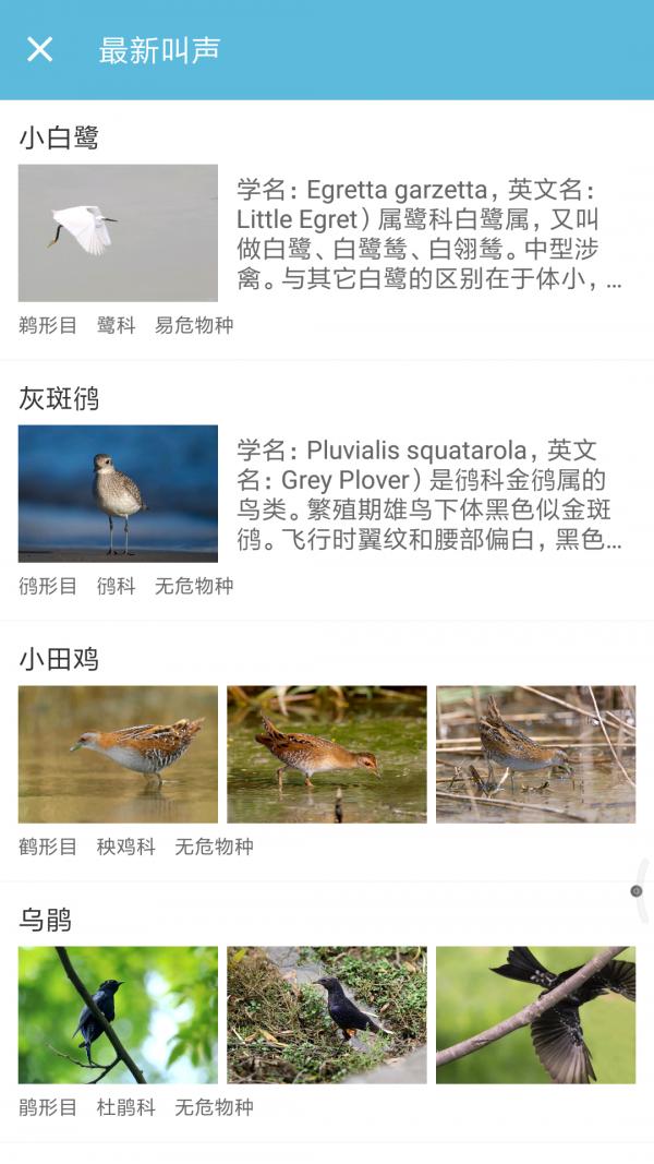 鸟叫声大全 版本:v3.5.8