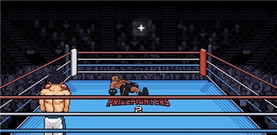 斗士像素拳击 2024-06-25 15:08