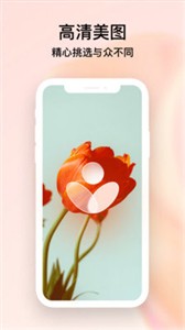 创意壁纸  v1.0.2.101