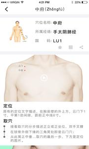 经络穴位图解  v1.02