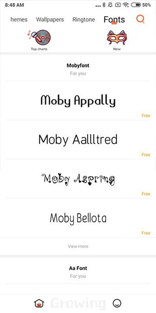 小米主题国际版  v2.3.2.12-global