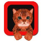 Cat Simulator 3D(小猫模拟器游戏大全)