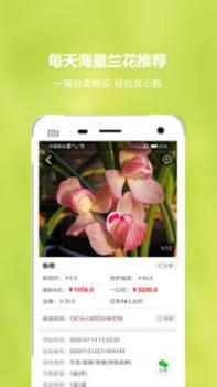 兰花交易网 v3.0.5